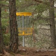 Best Disc Golf Courses in Columbus